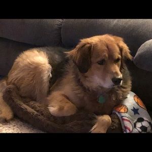 Meet your Posher, Rodney